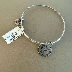 Alex and Ani Silver Charm Bracelet